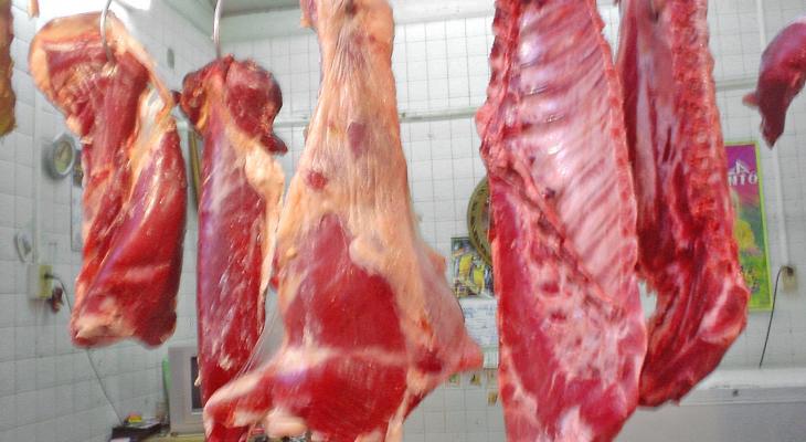 b1179922abf5d63e23cc7b399b4864c6