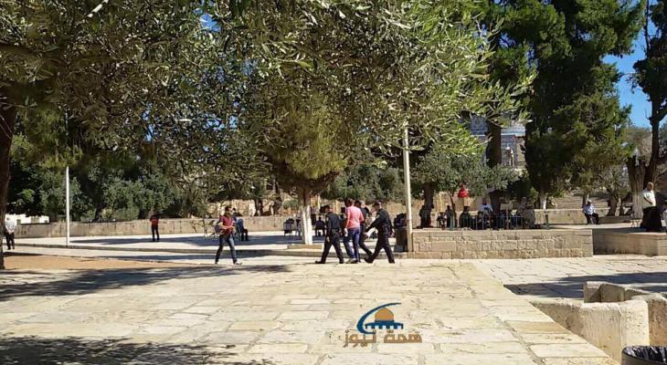 13423948_1186554774754755_8531807704245452521_n