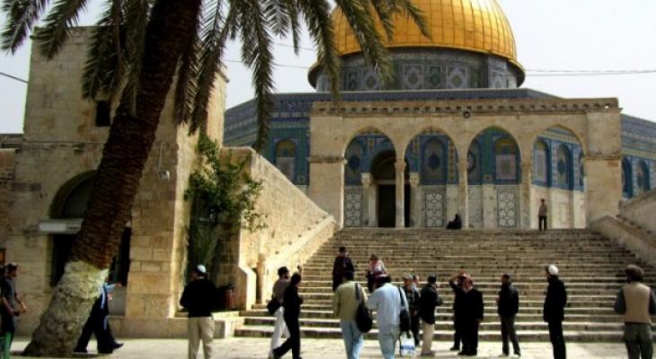 مستوطنون يقتحمون الأقصى وسط حماية مشددة من قوات الاحتلال