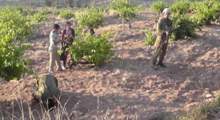 الاحتلال يمنع مزارعين في دير الحطب من دخول أراضيهم