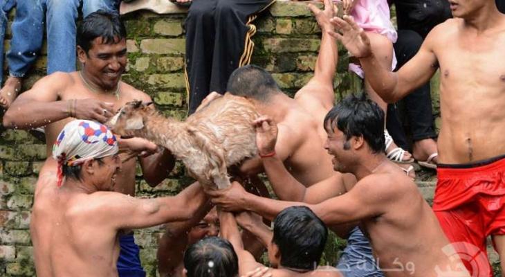 شاهدابالصور : منذ 900 عاما ... تمزّق الماعز "بالأيدي" بمهرجان سنوي