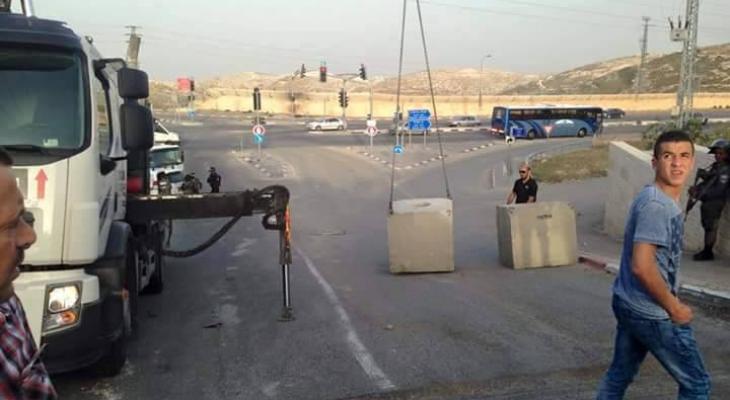 17808_911864188890483_3681019095475253541_n