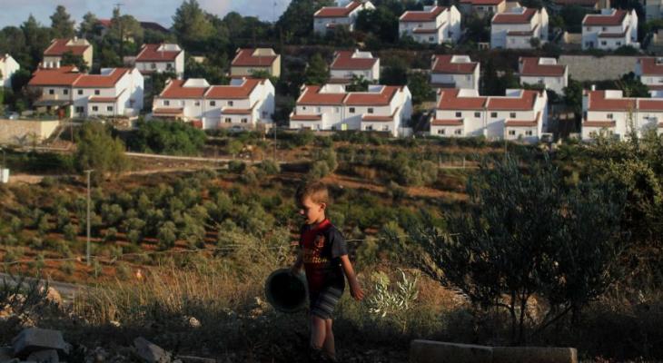 الخارجية: "عمونا" دليل واضح على تواطؤ حكومة نتنياهو المتطرفة