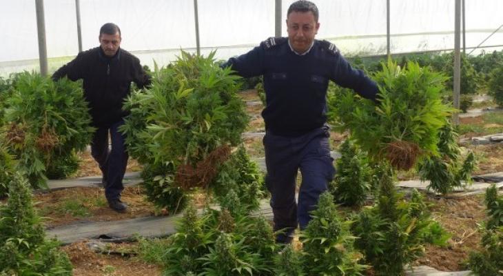 مخدرات1-600x330