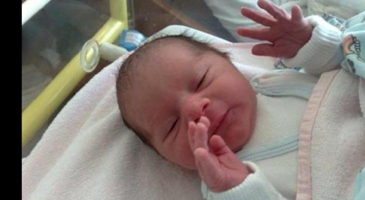 "5314" مولود بقطاع غزة خلال أكتوبر