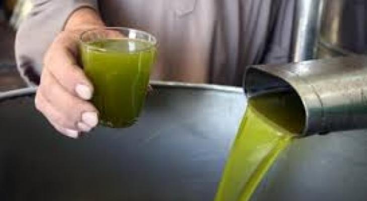 الزيت