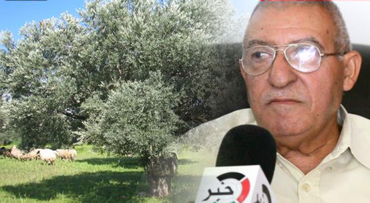 مدير عام مجلس الزيتون برام الله لـ "خبر": غزة شهدت موسماً وفيراً هذا العام على عكس الضفة