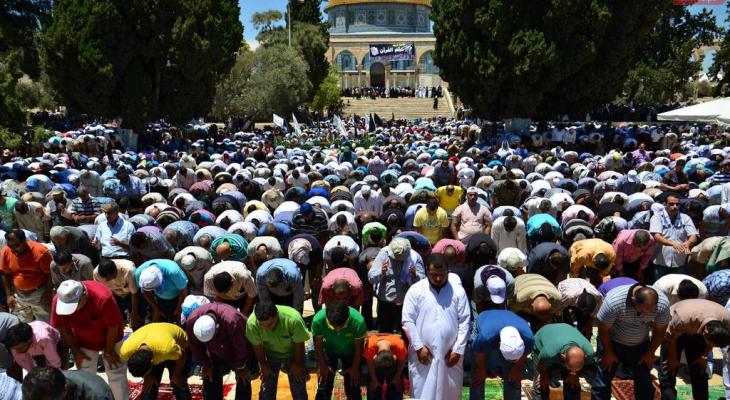 463b3477d0d0aa8dbe4dedc1c4104174