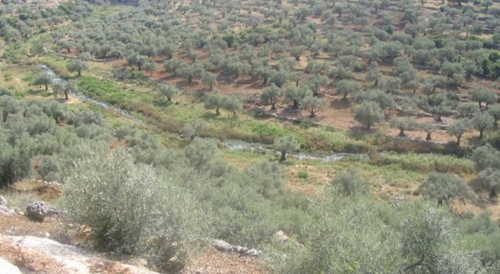 قوات الاحتلال تغرق أراضي زراعية بالمياه العادمة.jpg