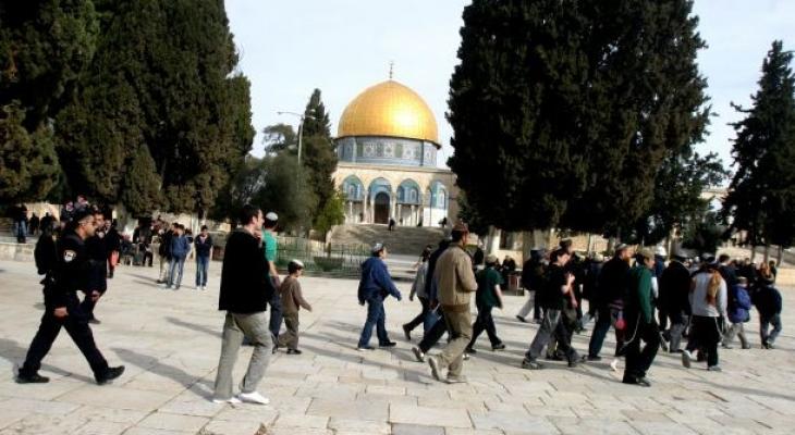 القدس: حفريات استيطانية أسفل منازل المواطنين في سلوان وسط توتر شديد