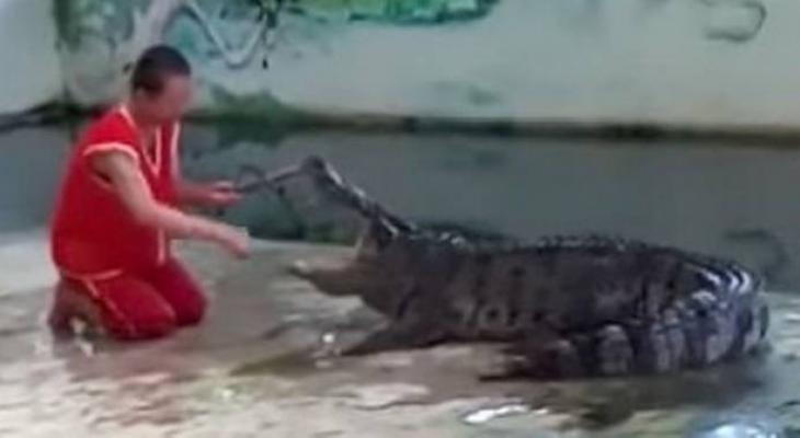 insane-moment-a-zookeeper-places-his-head-inside-a-huge-crocodiles-mouth-before-being-savaged-1-jpg-53238951441205129.jpg