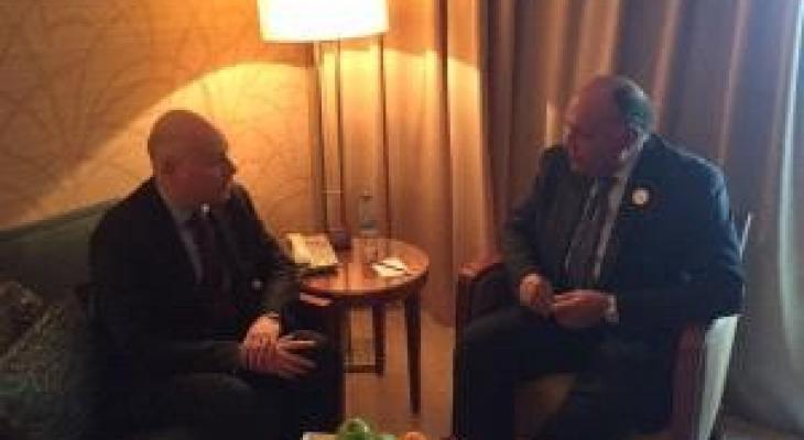 شكري يبحث مع المبعوث الامريكي مستجدات القضية الفلسطينية.jpg