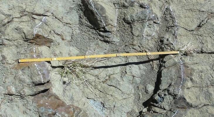 اكتشاف أكبر أثر لديناصور في العالم
