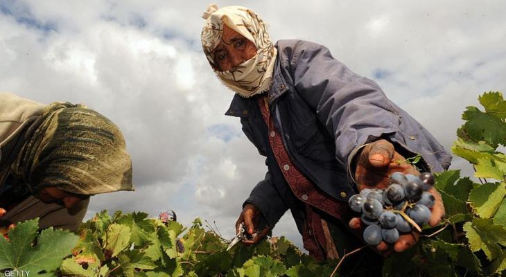 ارتفاع معدل البطالة في المغرب رغم استحداث وظائف