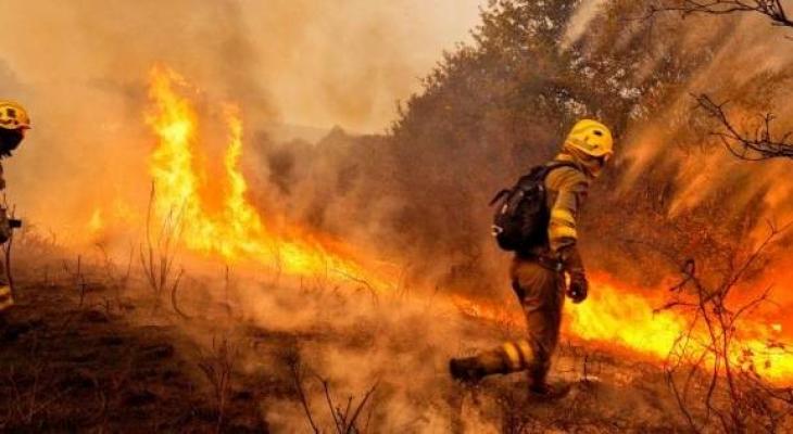 ما هي حصيلة حرائق الغابات بولاية كاليفورنيا؟!