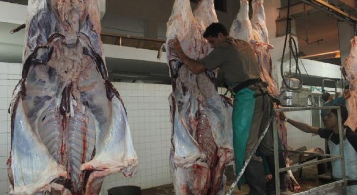 دائرة البيطرة في بلدية غزة تشرف على ذبح (650) رأسٍ من الماشية