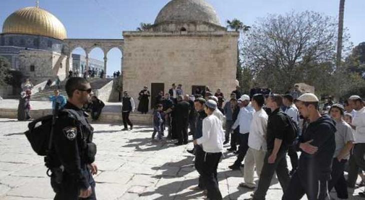 مستوطنون يستأنفون اقتحام الأقصى بحماية قوات الاحتلال