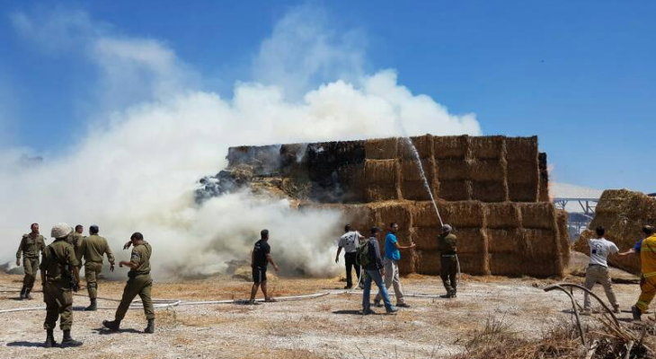 اندلاع حريق كبير في ناحل عوز شرق غزة بفعل بالون حارق