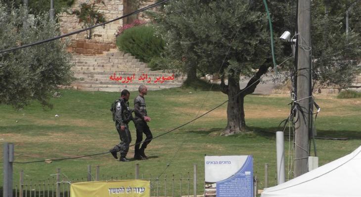 13240134_1409072002468549_8515347510041252832_n