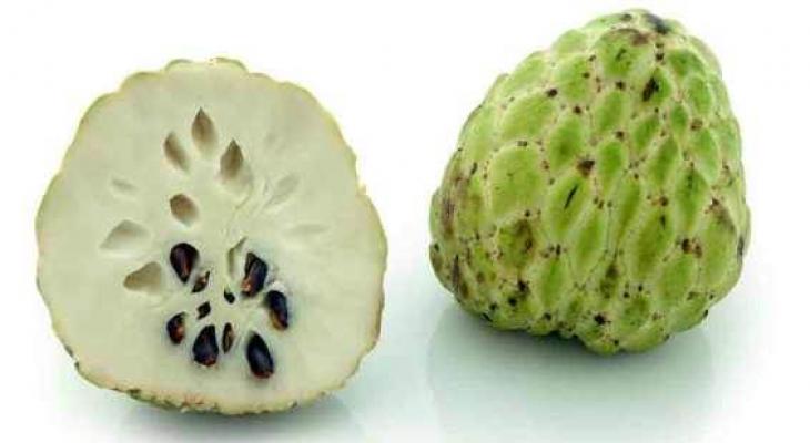 version4_custard-apple