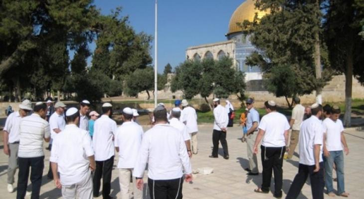 3cfa7f590e980b474cfa8e158c66a367