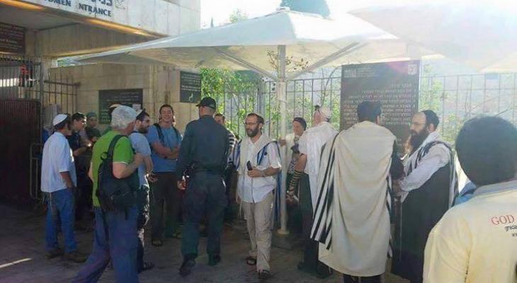 13592177_1201275126616053_404753766292509950_n