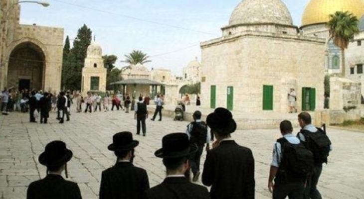 ad501cfe3d23479f7e2728db9cf8e3aa