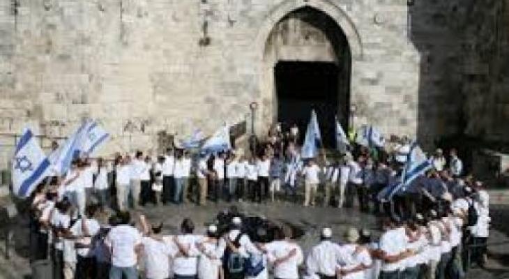 منظمات الهيكل