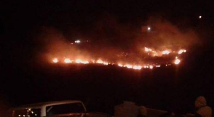 الدفاع المدني يخمد حريقا في أحراش جيبيا شمال رام الله