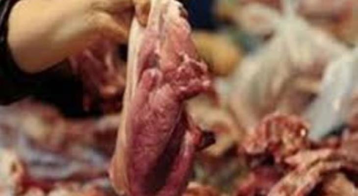 ضبط لحوم مهربة ومنتهية الصلاحية في جنين