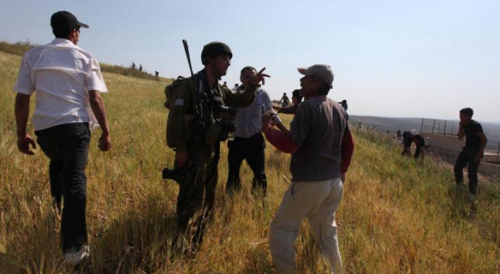 الاحتلال يمنع المواطنين من جني ثمار الزيتون في نابلس