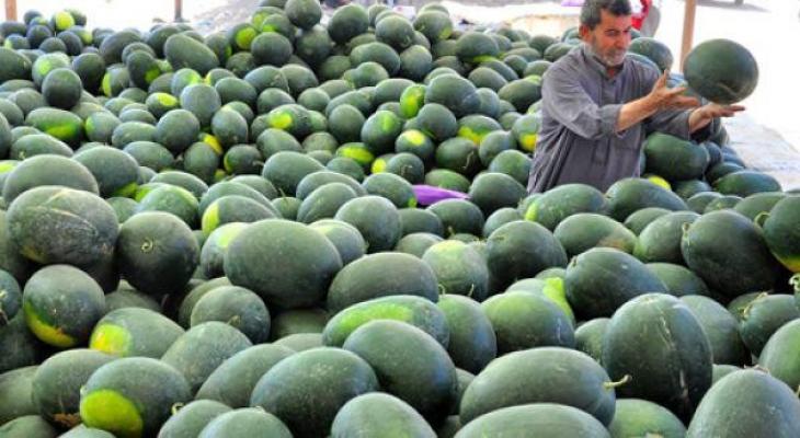 وزارة الزراعة تعلن منع استيراد البطيخ من اسرائيل