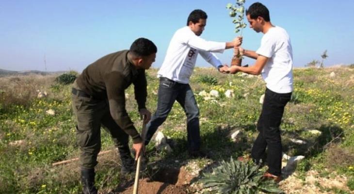 التحضير لبدء حملة "مليون في يوم" لتخضير فلسطين