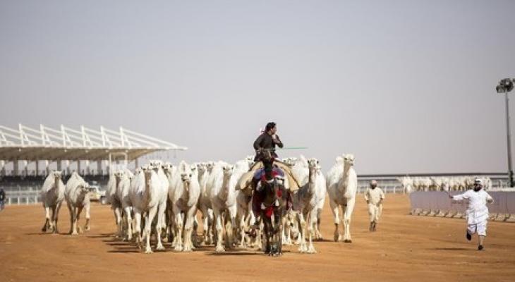 ممثلو "التعاون الخليجي" في الرياض للاحتفال بمهرجان الإبل