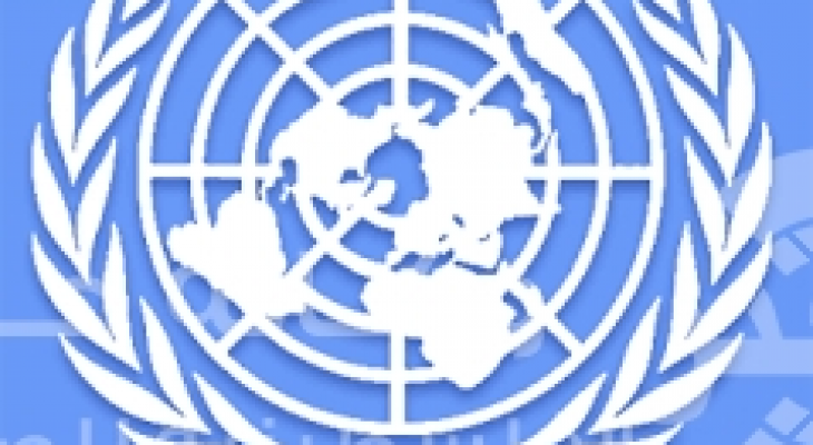 حقوق الانسان بالامم المتحدة