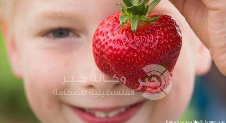 طفل يحمل فراولة 
