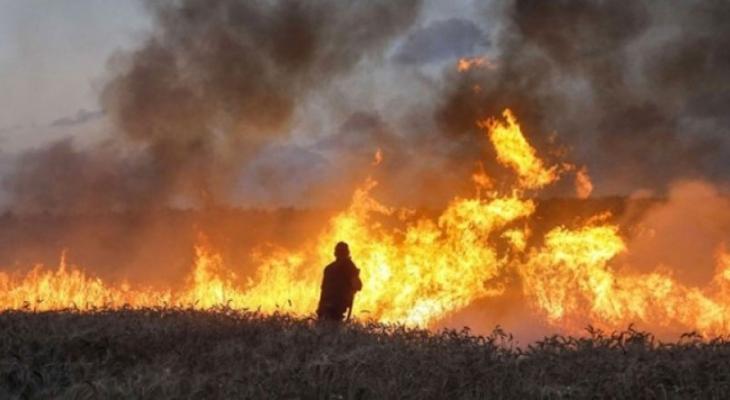اندلاع أكثر من ألف حريق بمستوطنات غلاف غزة منذ 3 أشهر