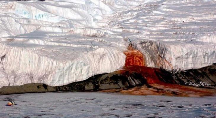 العلماء يكشفون سر "شلالات الدم" في القطب الجنوبي