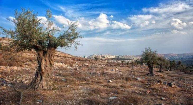 فلسطين تدعو صندوق المناخ الأخضر لتمكينها من حماية بيئتها.jpg