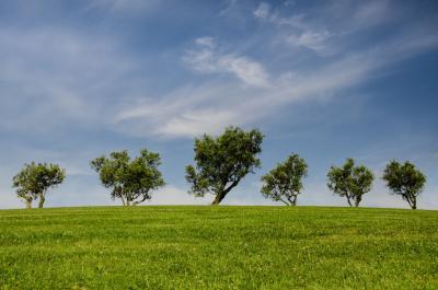 landscape-nature-sky-blue-large