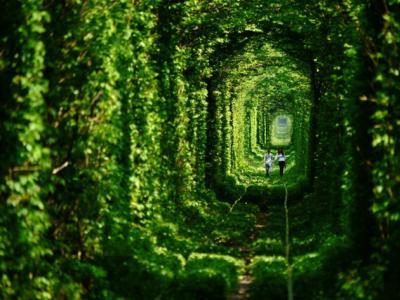 The-Tunnel-of-Love-in-Ukraine-630x472