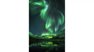 160727134332_aurora_bird_jan_r_olsen