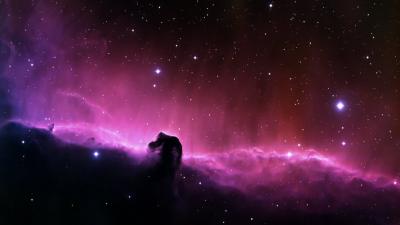 horsehead-nebula-dark-nebula-constellation-orion-87646-large