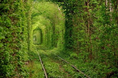 5-Tunnel-of-Love-Ukraine