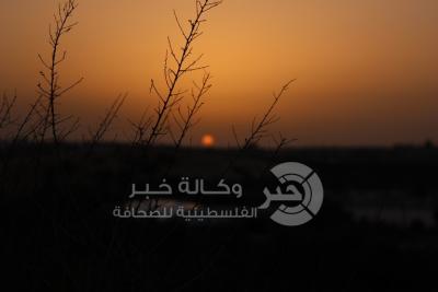 صورة طبيعية - شمال غزة