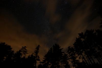 night-clouds-trees-stars