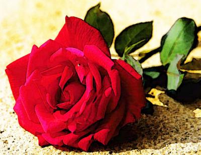 red-rose-art-wallpaper