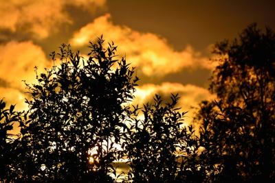 dawn-sky-sunset-clouds-large