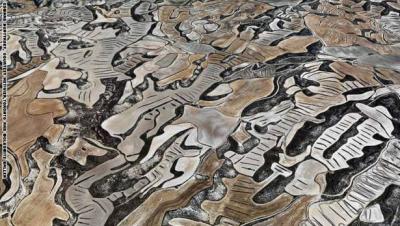 Fields_-_Spain_175964_large