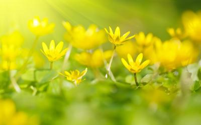 Amazing.400.Mixed Wallpapers.Pack.140.HD.akoam (184)